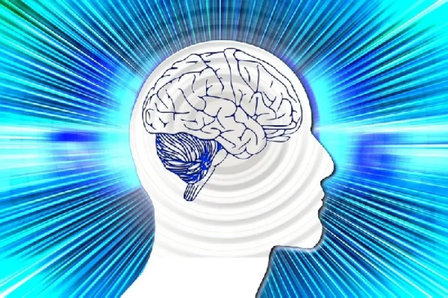 Le Malattie cerebrali nel bambino